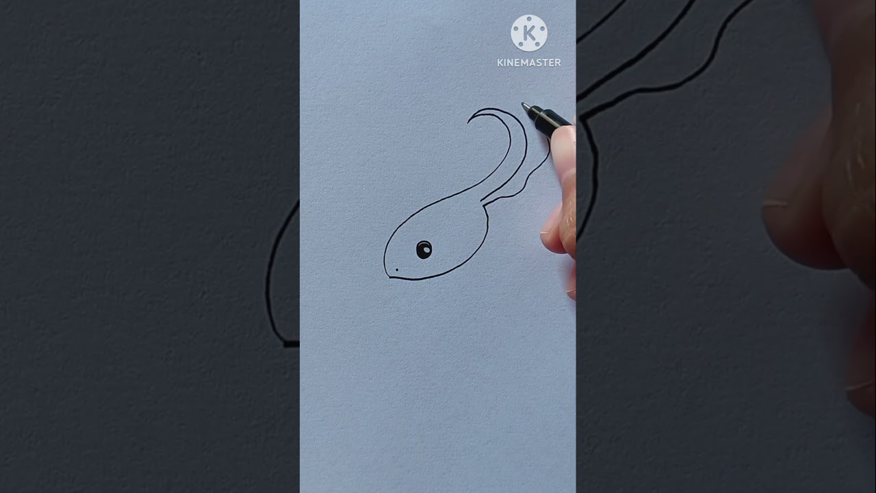 How to draw tadpole🌈 