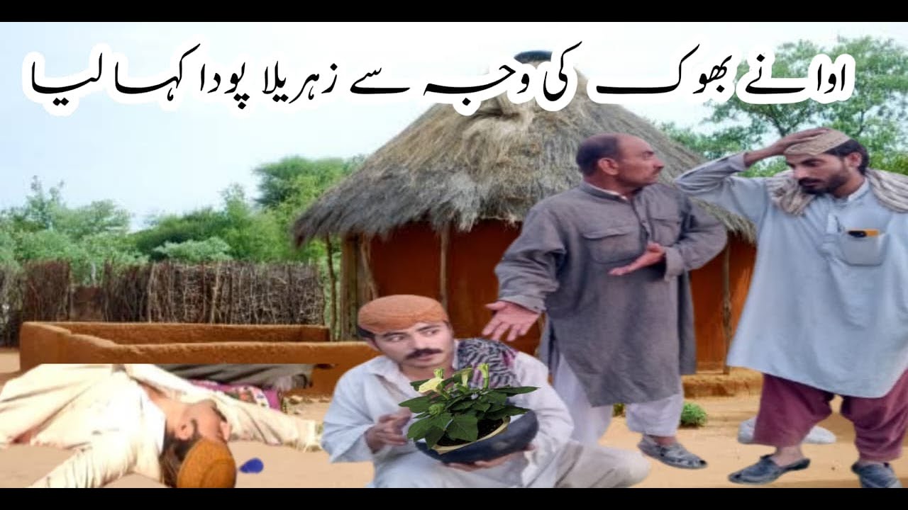 Bhook ki Waja se aoowa ne kahaya dhadtoor part 1 ||Arshad ayub 047s