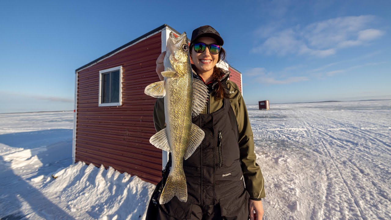 Судак и крупный окунь | Подлёдная рыбалка на озере Лесное (северо-западный ракурс)