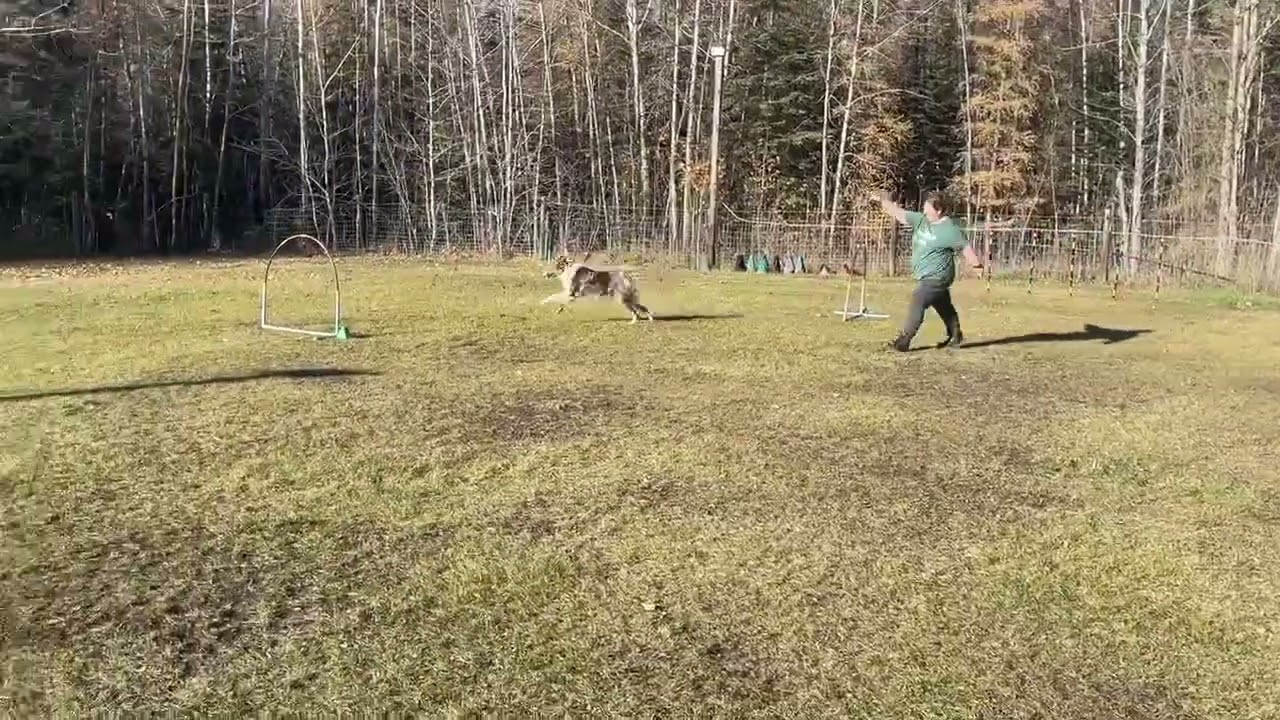 Blue Sauce Intro Weavers - Rd 2