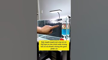 Biến bể cá của bạn thành thiên đường với bộ lọc đa năng từ Notashop! #notashopvn