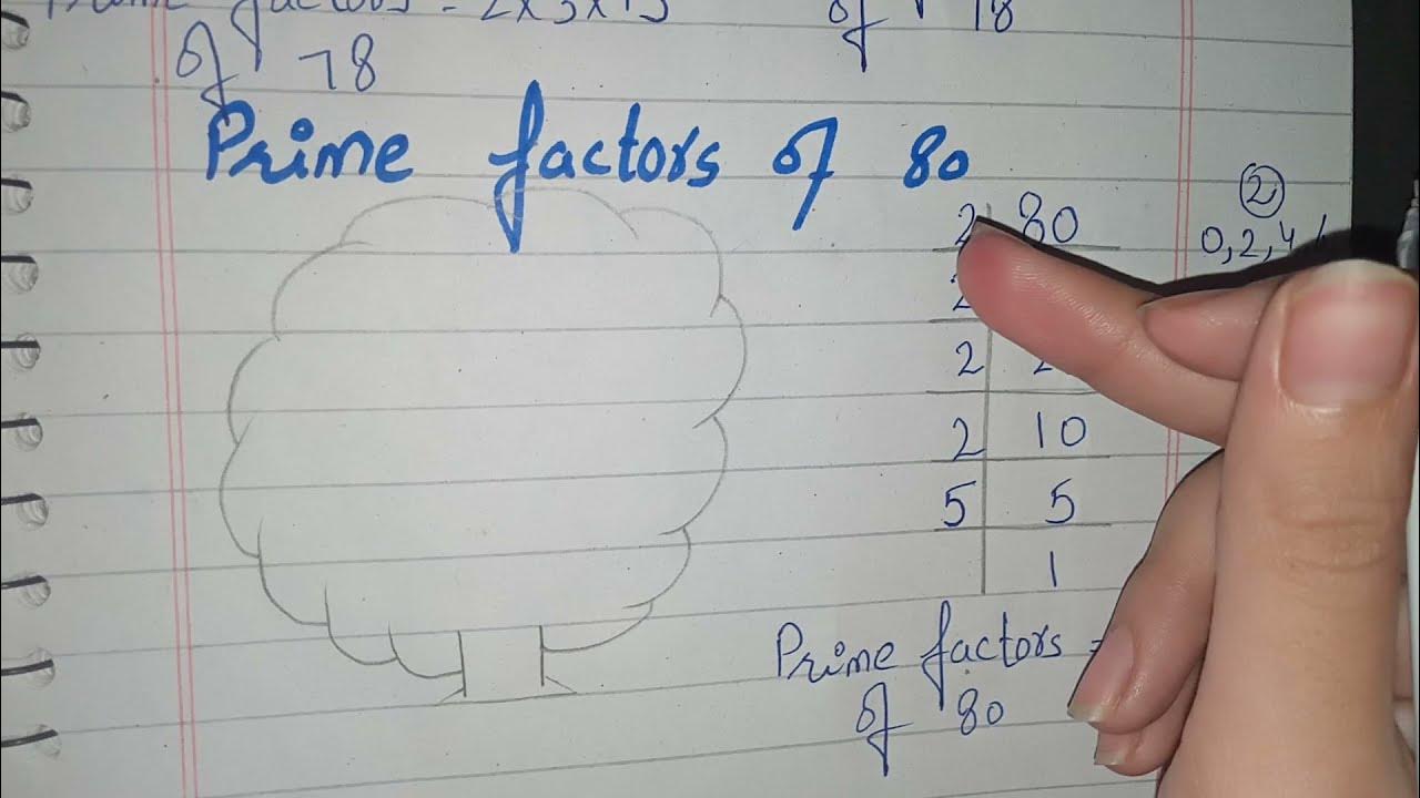Factor Tree of 80|Prime Factorization of 80 - YouTube