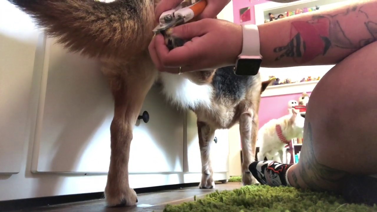 long term training goals....