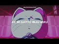 1 HOUR Ay Mi Gatito Miau Miau Tiktok Letra MONTAGEM MIAU Turbo Granny Cat
