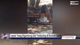 PN TV - Viral Pria di Sumba Dihukum Gantung, Akibat Kawin Lari