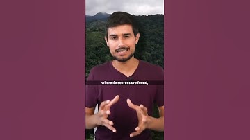 These Trees can Walk!