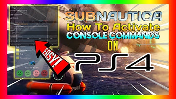 How to open dev console and get the developer menu on subnautica console edition