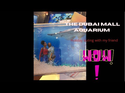 Aquarium Vlog/ my holiday vlog at the Dubai mall Aquarium