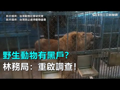 野生動物有黑戶？林務局：重啟調查！｜三立新聞網SETN.com