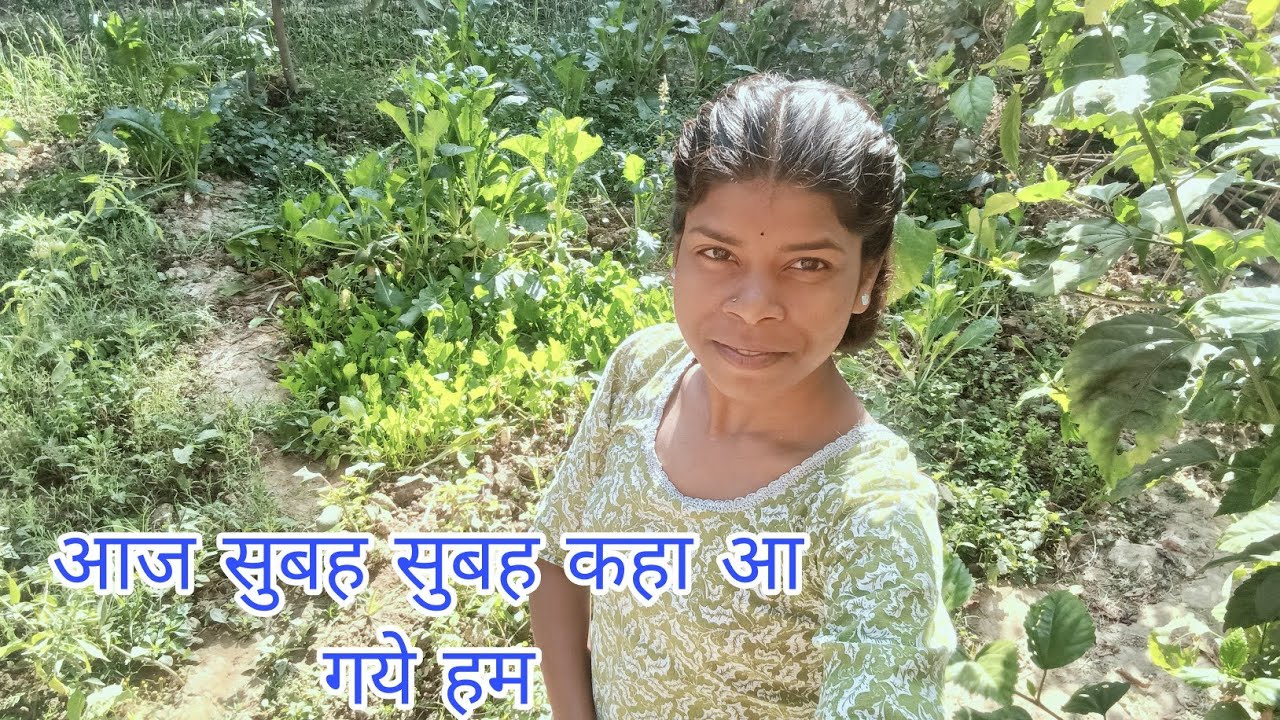 🤔आज सुबह-सुबह कहा चले गये हम।😀😃