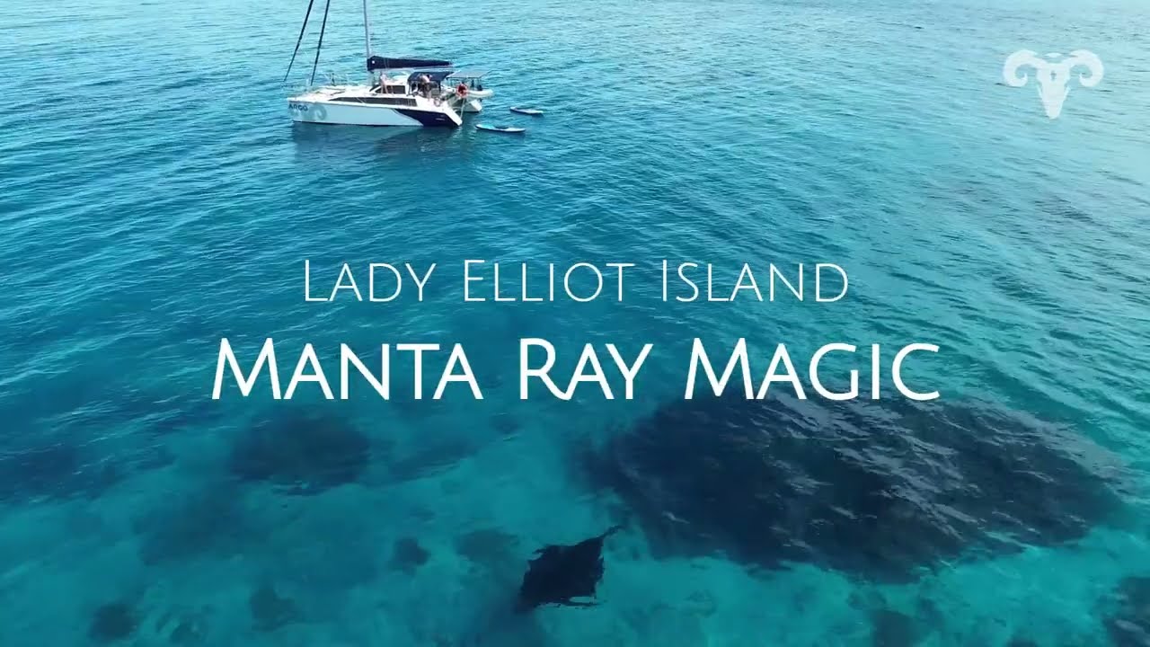 ⁣Lady Elliot Island - Manta Ray Magic | Sailing ARGO