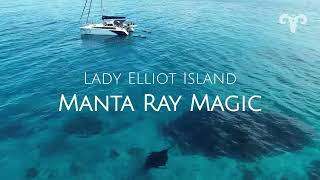 Lady Elliot Island - Manta Ray Magic | Sailing ARGO