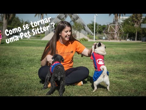 Vídeo: Como Se Tornar Uma Babá Profissional / Caminhante De Cães