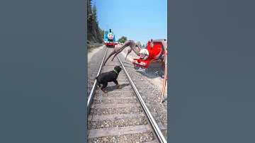 GTA V: THOMAS THE TRAIN SAVING CHOP FROM CHOO CHOO CHARLES #shorts