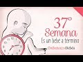SEMANA 37 de #Embarazo | 9º Mes | Semana a semana