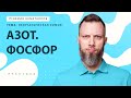 [14] Азот. Фосфор | ЕГЭ за 30 дней