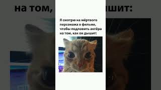 мем #comedy #fun #funny #shortvideo #youtube #respect #мем #memes #shortsvideo #жиза #comedy #shorts