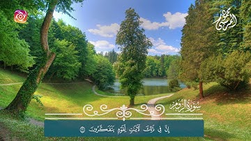 فَسُبْحَانَ اللَّهِ حِينَ تُمْسُونَ وَحِينَ تُصْبِحُونَ | ما تيسر من سورة الروم | محمود المرسي