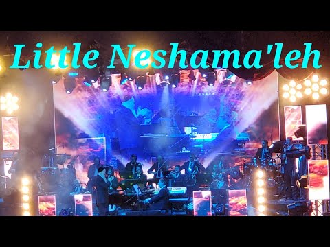 Little Neshama'leh 'Live' - Abie Rottenberg • MBD • Yedidim Choir • Sababa Band