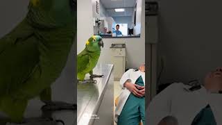 Coco focus too close lol 😝