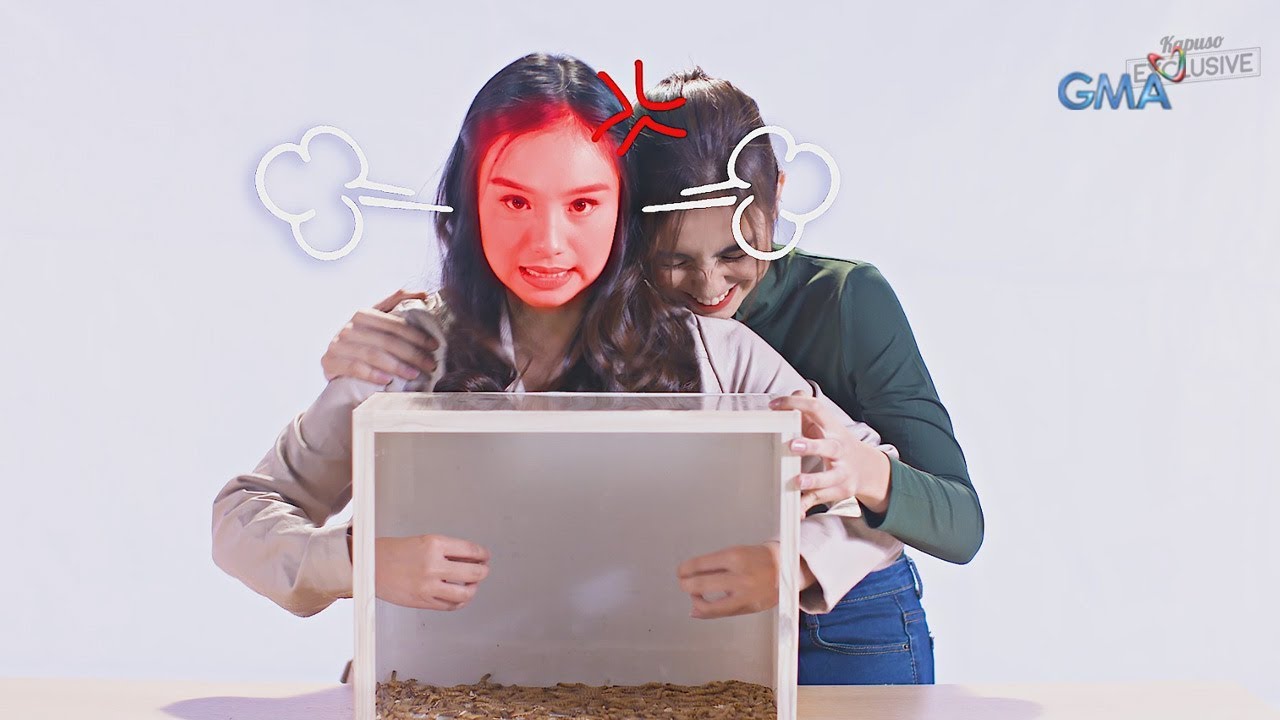 Kyline Alcantara and Pauline Mendoza: Scare box challenge