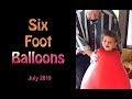 6 Foot Balloons  July 2019