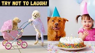 Top 10 Funniest Dog Breeds In 2021 | Funny Dog Videos by Animal Tube 488 views 2 years ago 4 minutes, 15 seconds