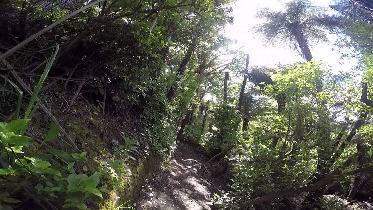 Arch Hill - Twist & Shout - Run 2