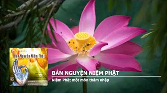 Niệm Phật một môn thâm nhập 