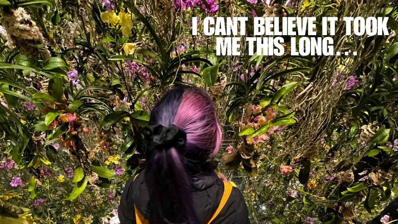 Twitch streamers first time in Japan