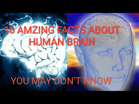 10 Amazing Facts About Human brain that you may don't know - YouTube