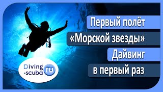 Дайвинг подводный мир Крым - Diving-scuba.ru - 16.10.2015 Дайвинг Севастополе.