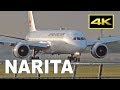 [4K] 35 Jets Landing - Plane Spotting Tokyo Narita Airport 2019 / 成田空港 JAL ANA