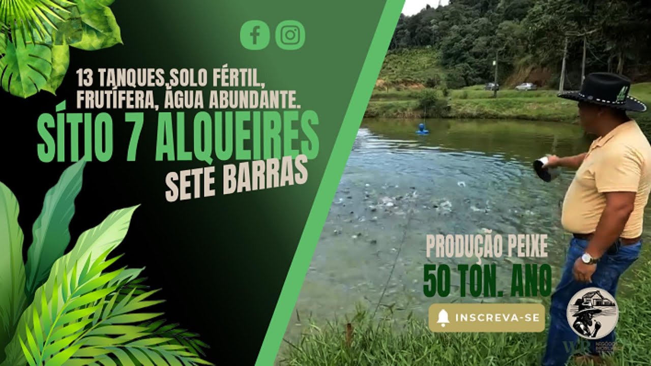 Sítio de 7 Alqueires PRODUZINDO 50 TON. ANO em Sete Barras, SP – 13 Tanques, água abundante.