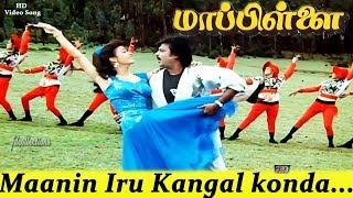 Maanin iru kangal konda HD video song │ மானின் இரு கண்கள் கொண்ட │Mappillai