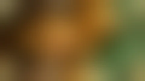 সোনা টা পুদে ভরে দিল IIভিডিও দেখুন গেরানটি মজা পাবেন IINew Release Tami Sort Flim 2018l