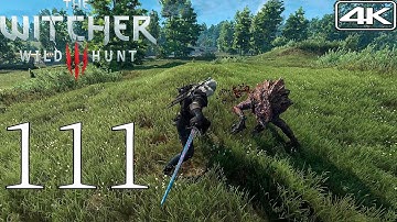 The Witcher 3 [4K] Modded Walkthrough Part 111 | The Apiarian Phantom (Deathmarch)