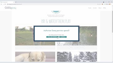 Introducing Geeq Micropayments and Geeq Pay!