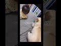 赤ちゃんの泣き声が嫌いだった犬が1年一緒に暮らした結果・・