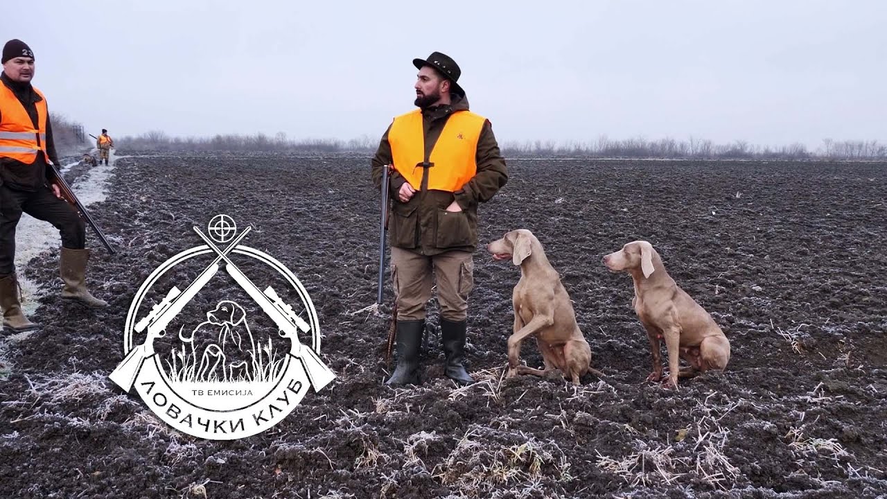 Lovački klub ep. 175 20.06.2025. U lov sa vajmarskim ptičarima