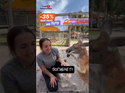 Детёныш Кенгуру Это Нечто 🦘