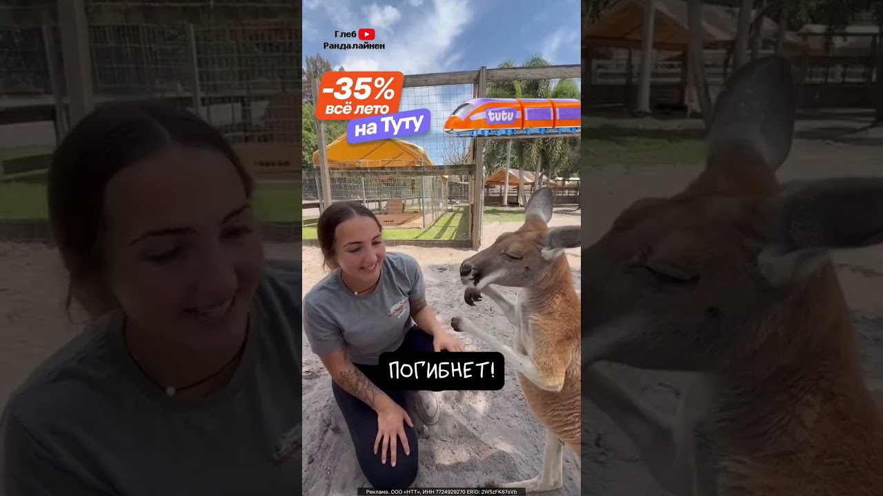 Детёныш Кенгуру Это Нечто 🦘