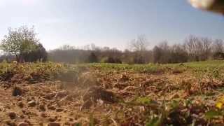 Atom 500 and Socam Ultimate test flight
