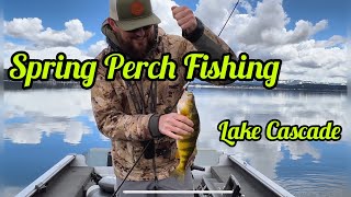 Springtime Perch Fishing Using Blade Baits on Lake Cascade