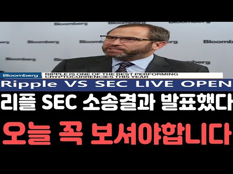 리플전망 리플 SEC재판 소송결과를 발표했다 모두를속이며 소송일정을 공개한 이유 오늘 영상은 꼭 보셔야합니다 리플전망 리플호재 리플급등 리플코인 리플소송 리플시세 