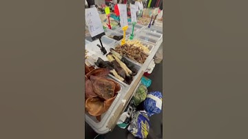 Pigs ears and grass cutting at the car boot😍#carbootsale #fatherandsonday