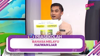 Prasekolah (2022) | Bahasa Melayu: Haiwan Liar