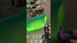 Does the bug work on Viper Wall too??