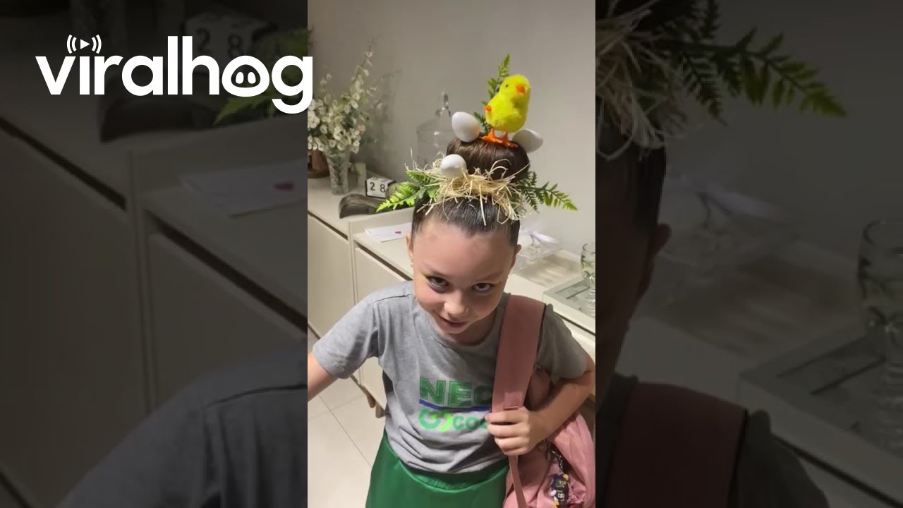 Crazy Hair Includes Egg And Chicks || ViralHog