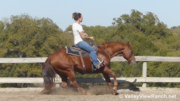 Little Smart Playgun - riding bridleless! - ValleyViewRanch.net